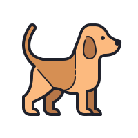 Home page del Centro assistenza Bau Store - Negozio per cani